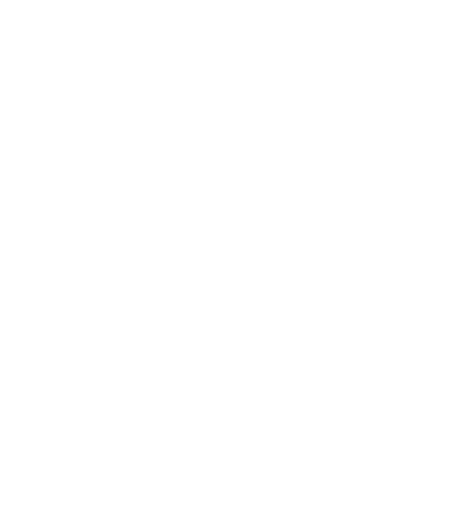 Flypt
